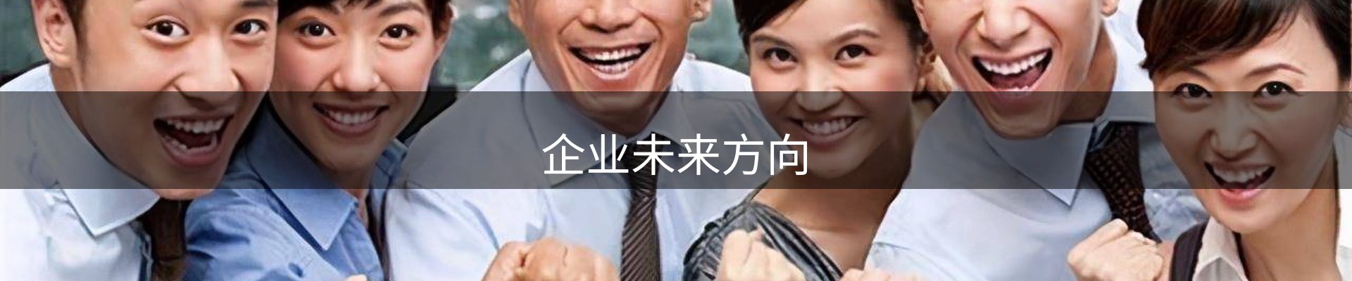 企业未来方向