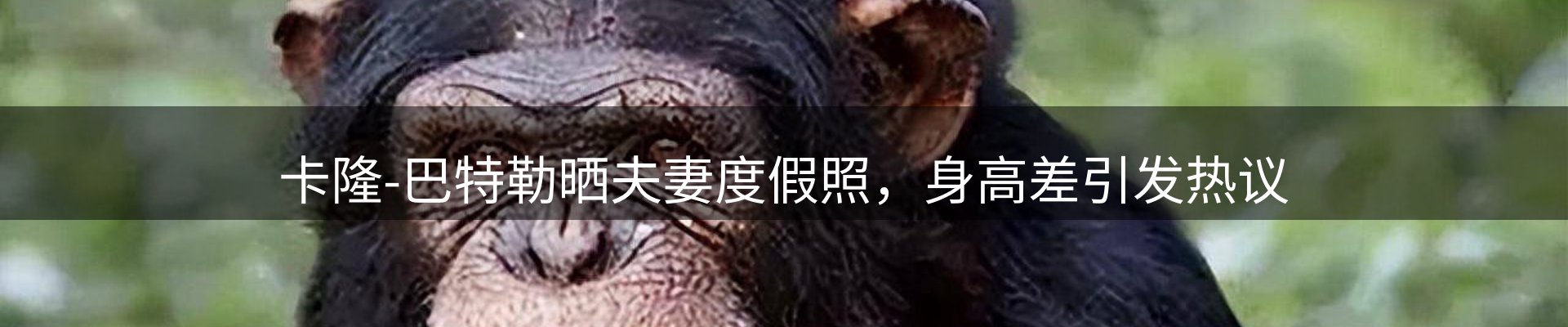 市场资讯